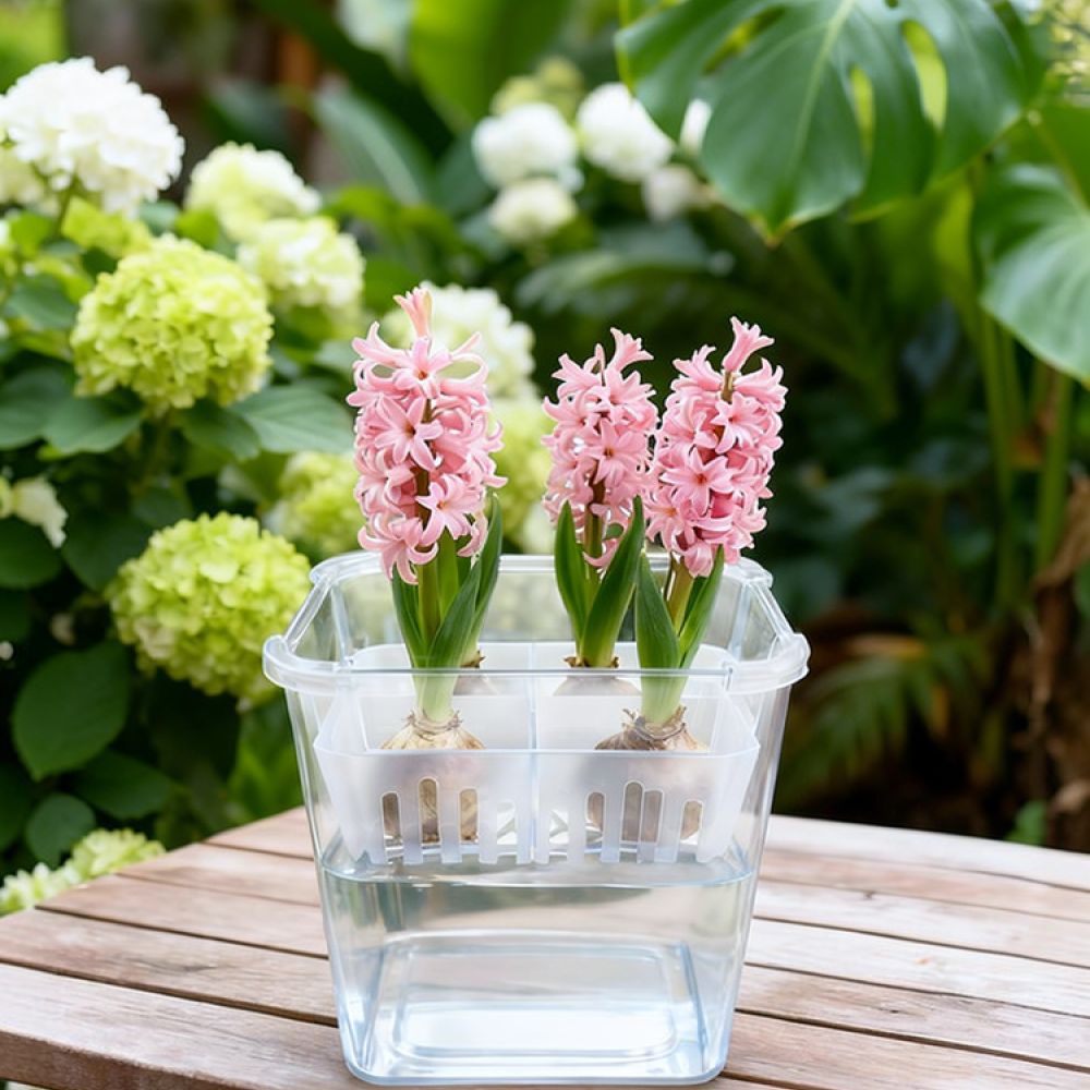 Hydroponic Vase For Tulip Lily - Vase Decor ulasan dan harga