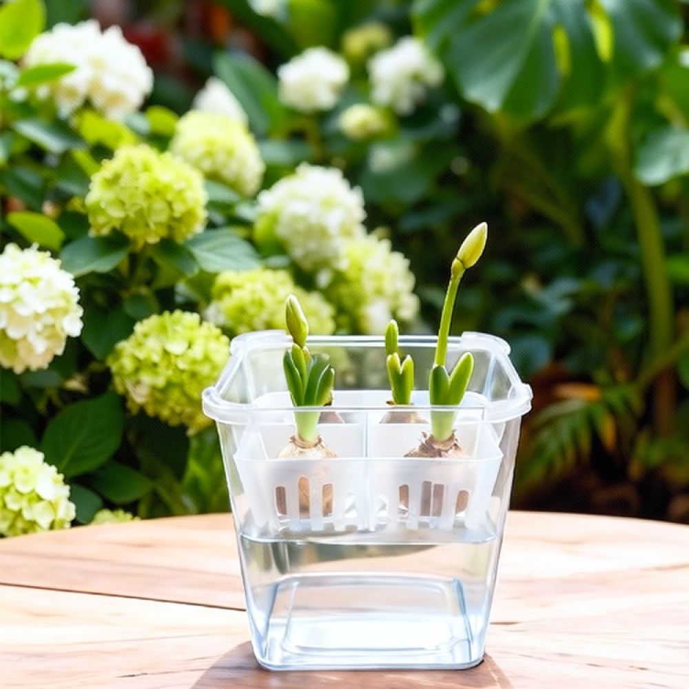 Hydroponic Vase For Tulip Lily - Vase Decor ulasan dan harga
